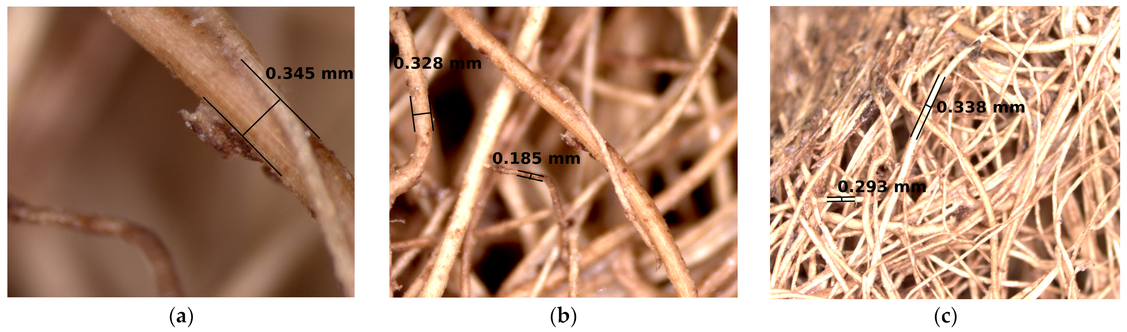 Sustainability 17 06306 g007