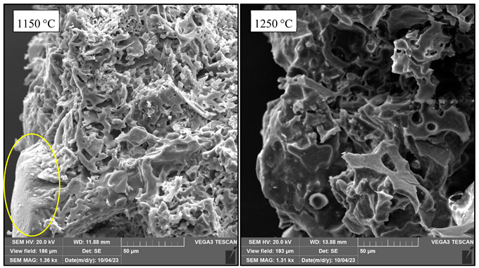 Sustainability 17 06508 i003