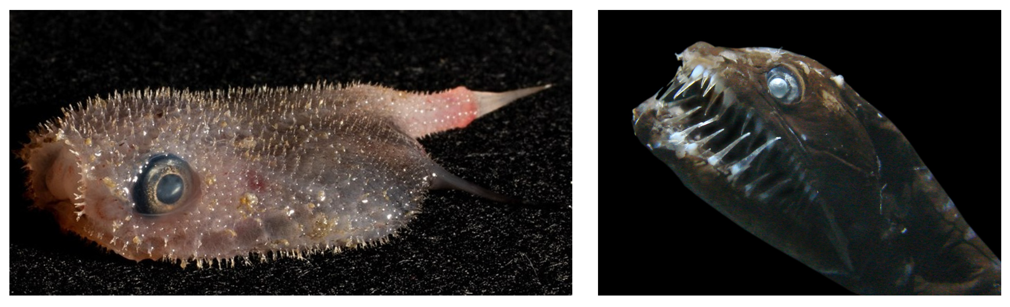 Sustainability 17 06580 g006