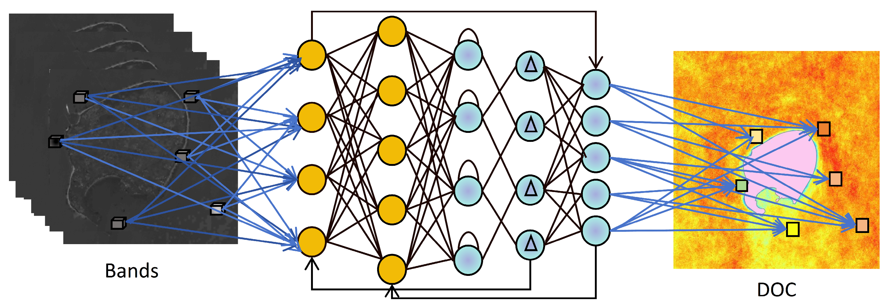 Advances in Dissolved Organic Carbon Remote Sensing Inversion in Inland ...