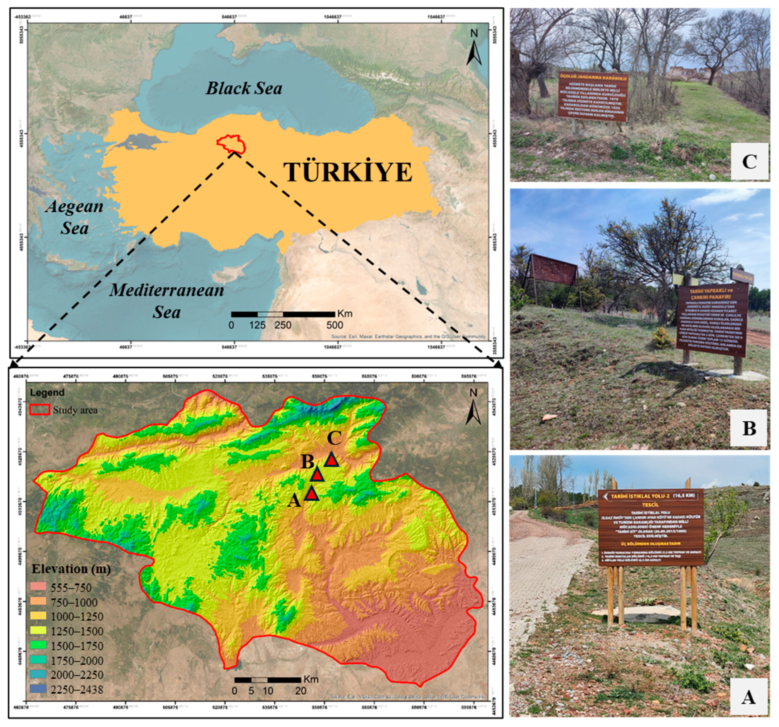 Sustainability 17 06897 g001