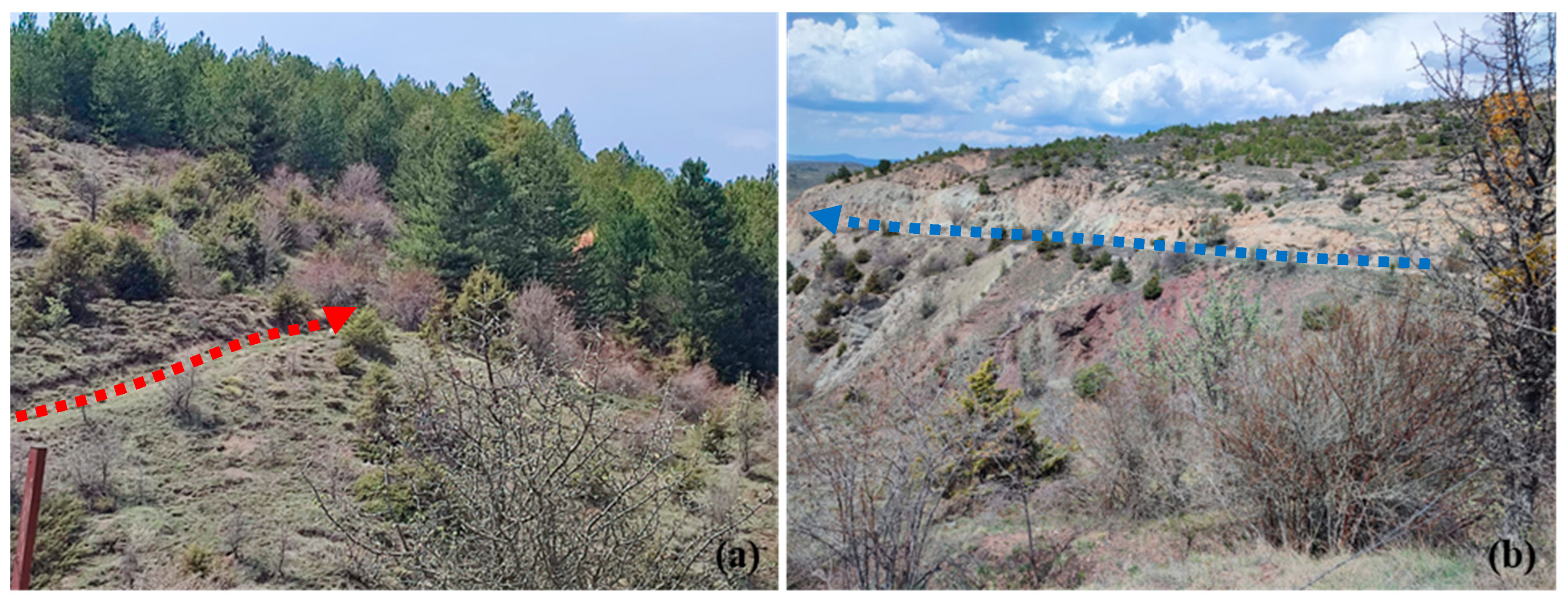 Sustainability 17 06897 g009