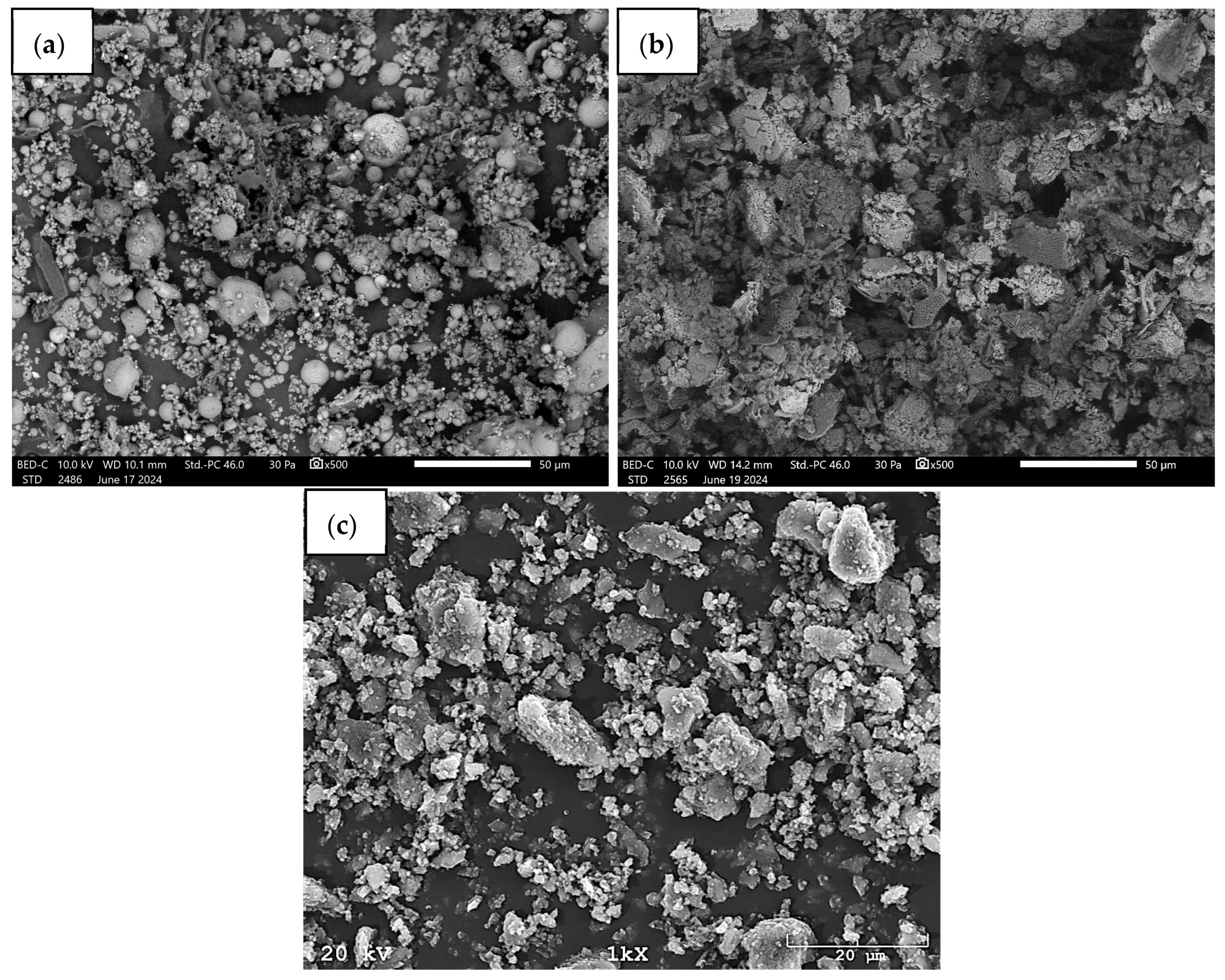 Sustainability 17 06898 g001