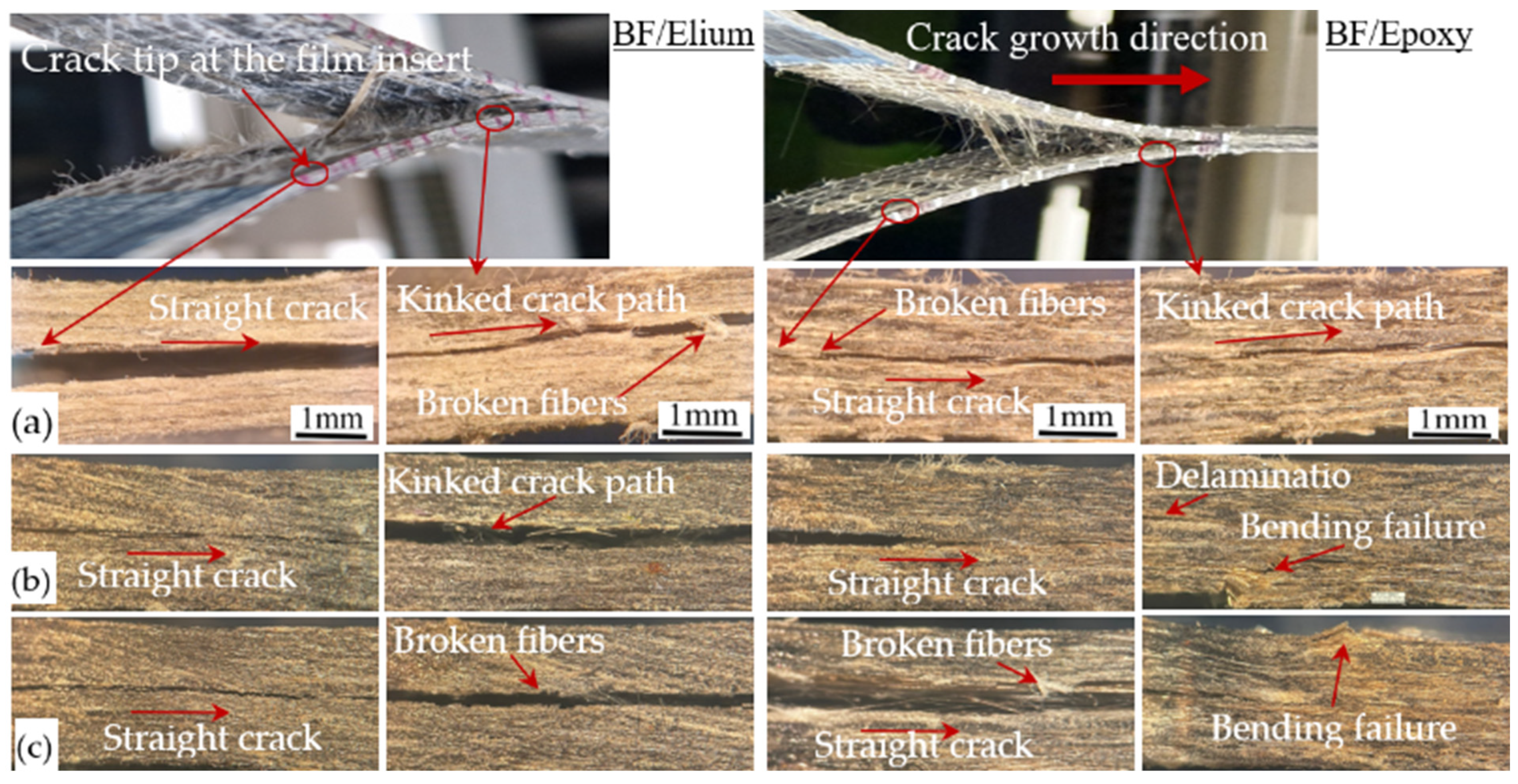 Sustainability 17 06967 g008
