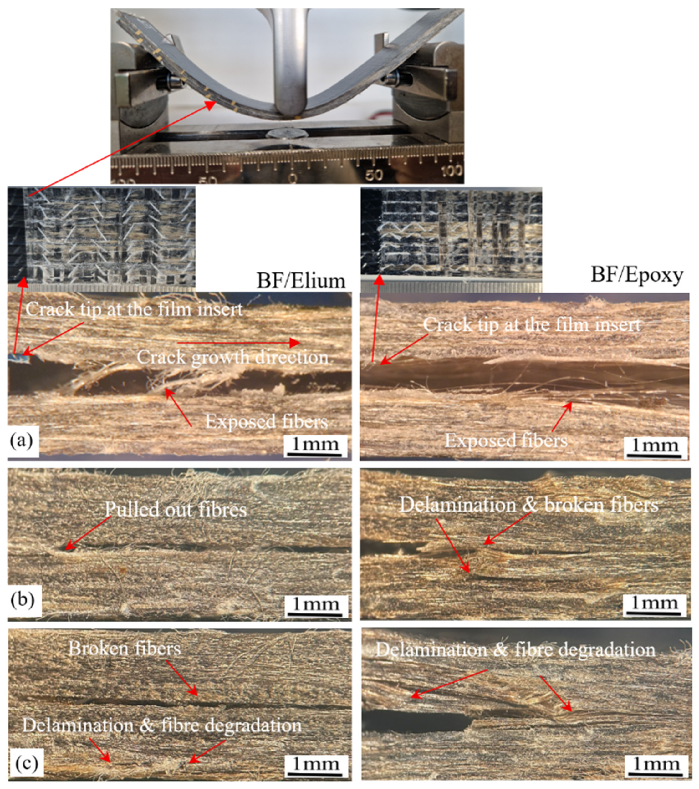 Sustainability 17 06967 g011
