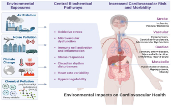 Sustainability 17 06973 i042