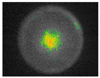 Sustainability 17 06996 i025