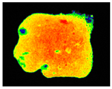 Sustainability 17 06996 i031