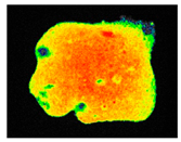 Sustainability 17 06996 i032