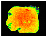 Sustainability 17 06996 i033