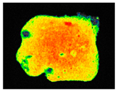 Sustainability 17 06996 i034