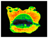 Sustainability 17 06996 i036