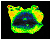 Sustainability 17 06996 i037