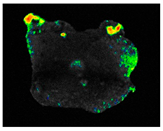 Sustainability 17 06996 i038