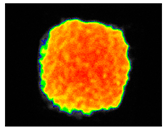 Sustainability 17 06996 i039