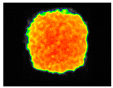 Sustainability 17 06996 i040