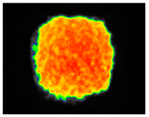 Sustainability 17 06996 i041