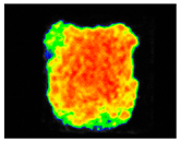 Sustainability 17 06996 i043