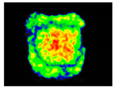 Sustainability 17 06996 i044