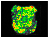 Sustainability 17 06996 i046