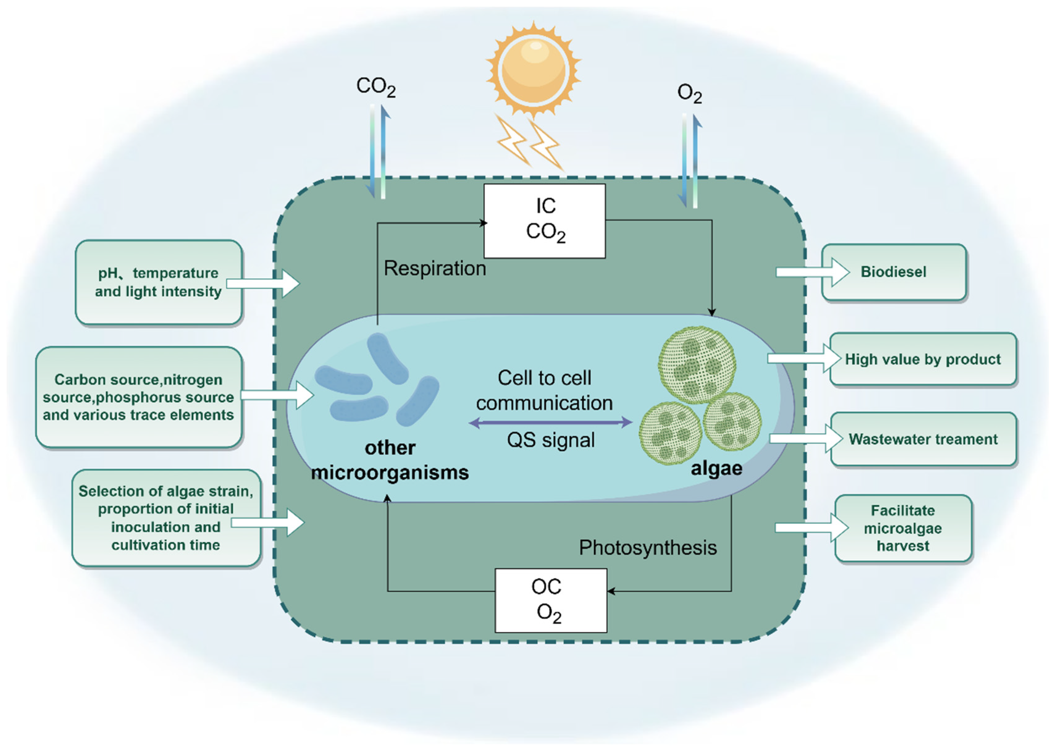 Sustainability 17 07104 g004