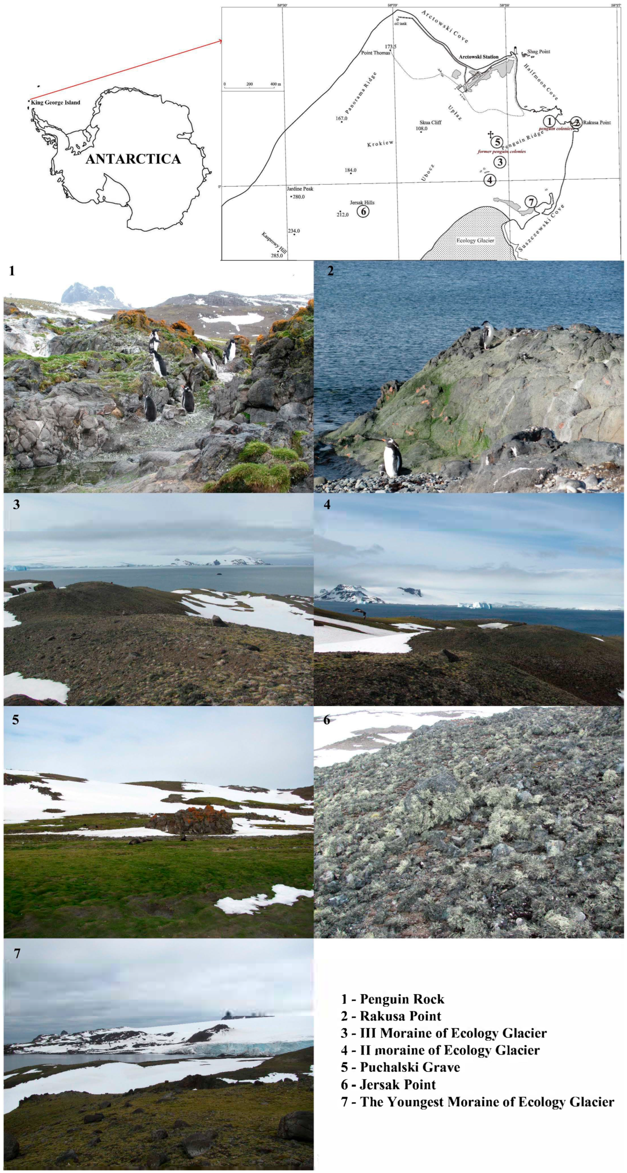 Sustainability 17 07221 g001