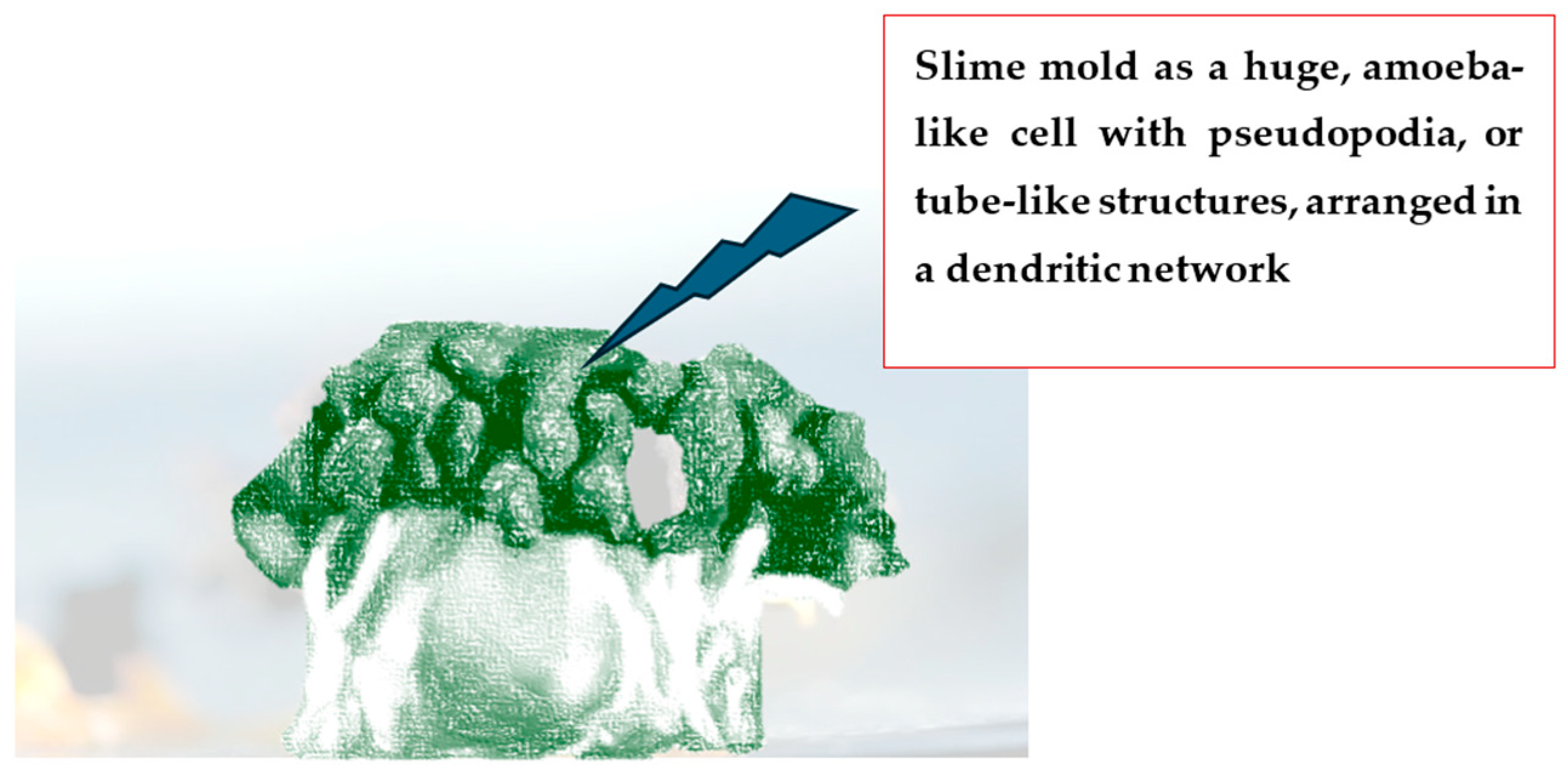 Sustainability 17 07223 g006