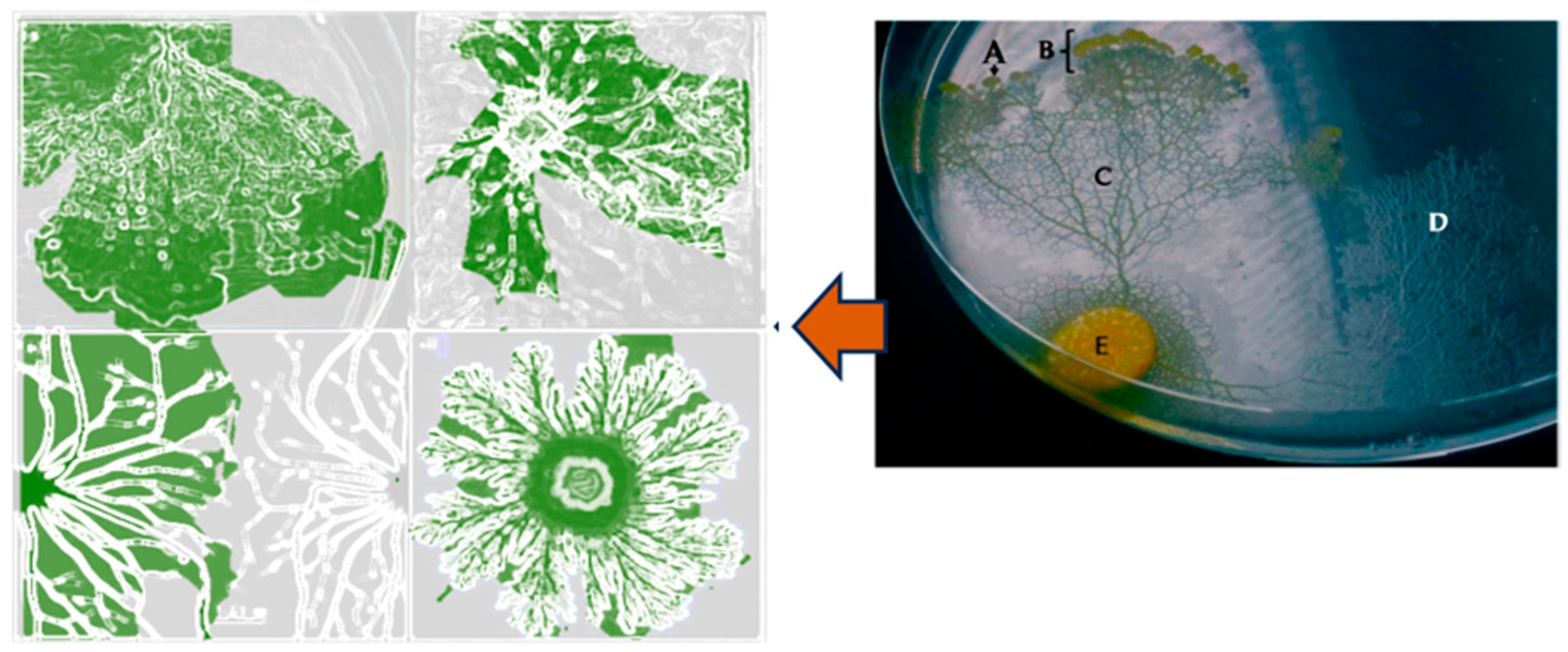 Sustainability 17 07223 g008