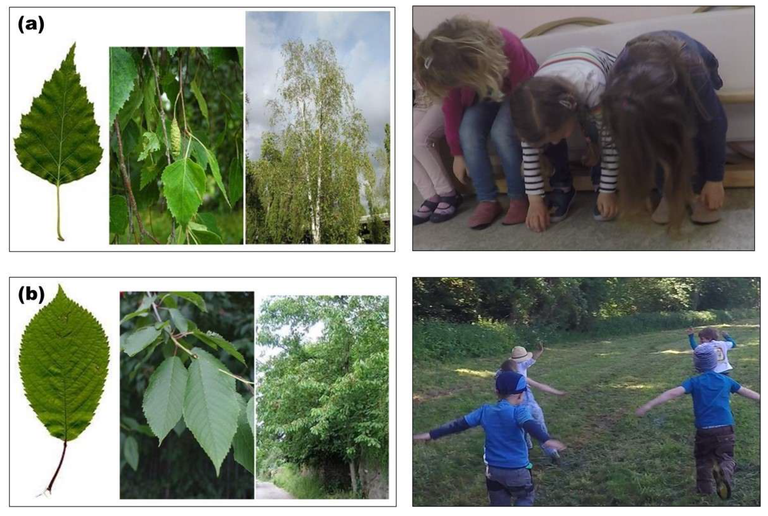 Sustainability 17 07310 g002 Sustainability 17 07310 g002