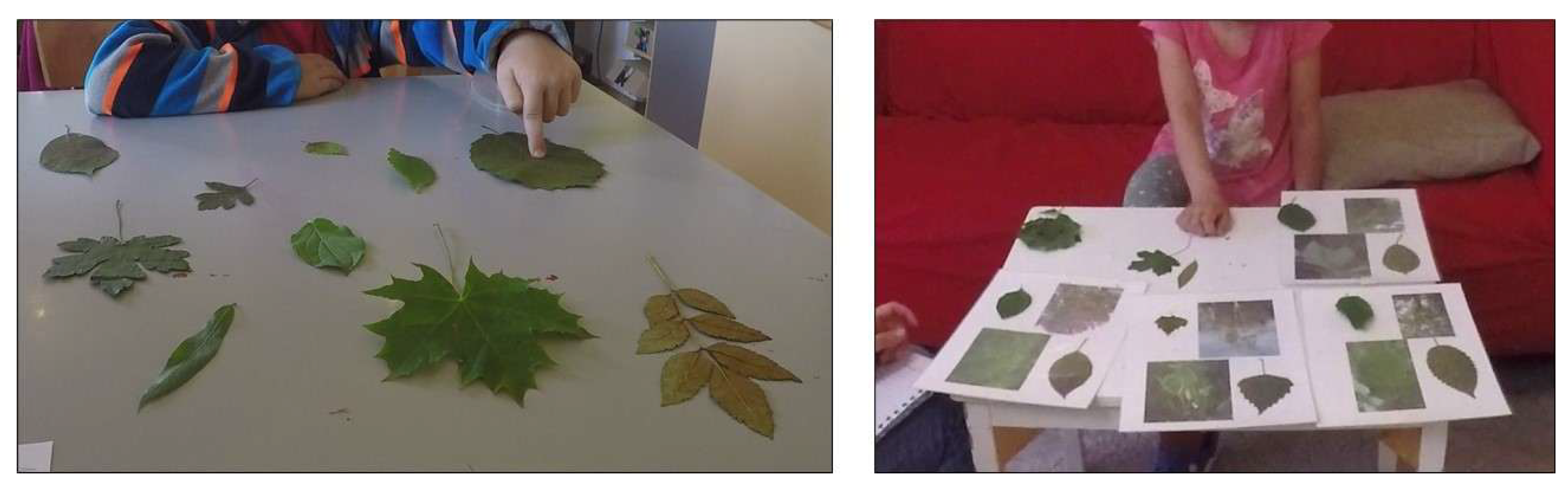 Sustainability 17 07310 g004 Sustainability 17 07310 g004