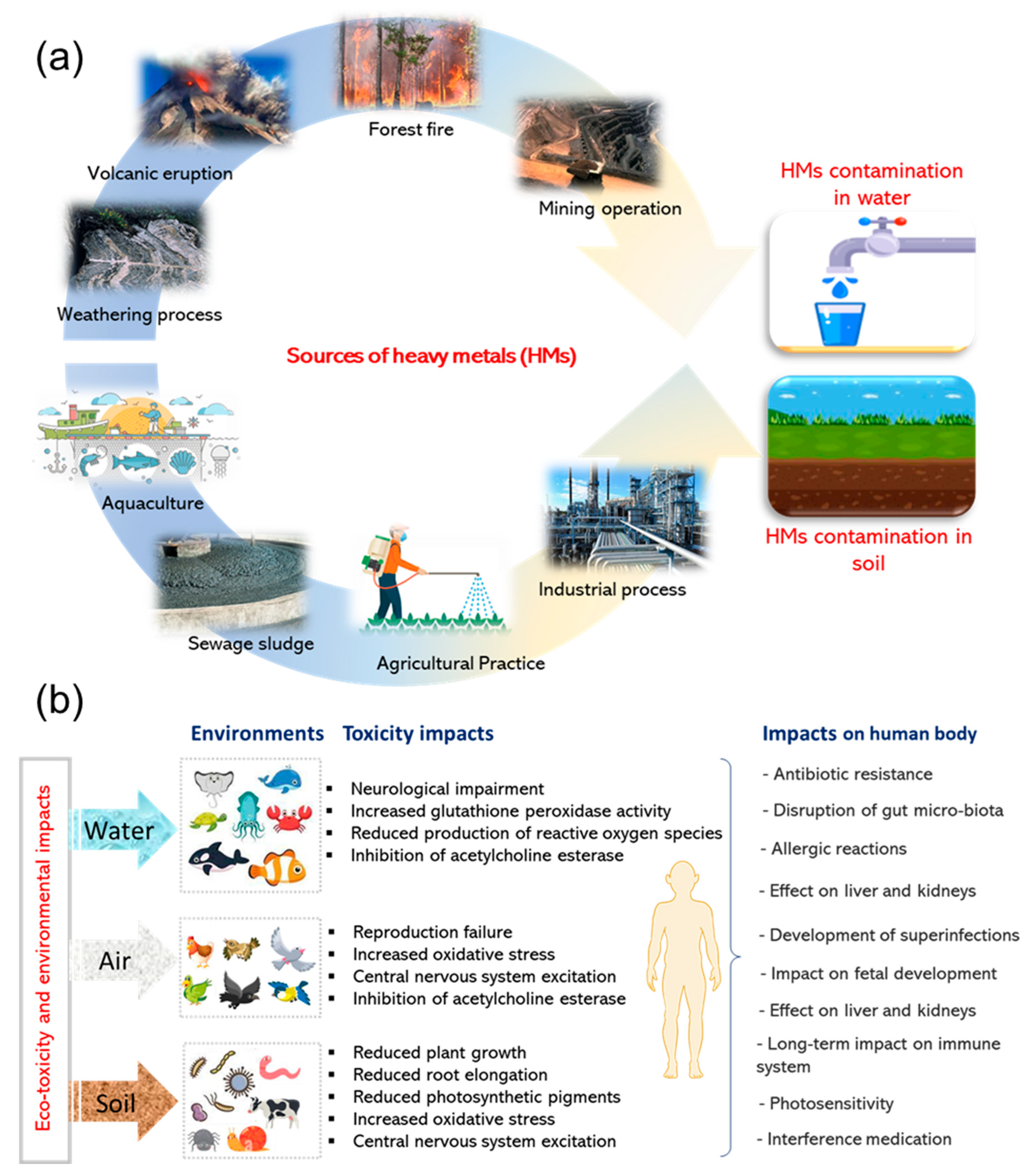 Sustainability 17 07357 g001