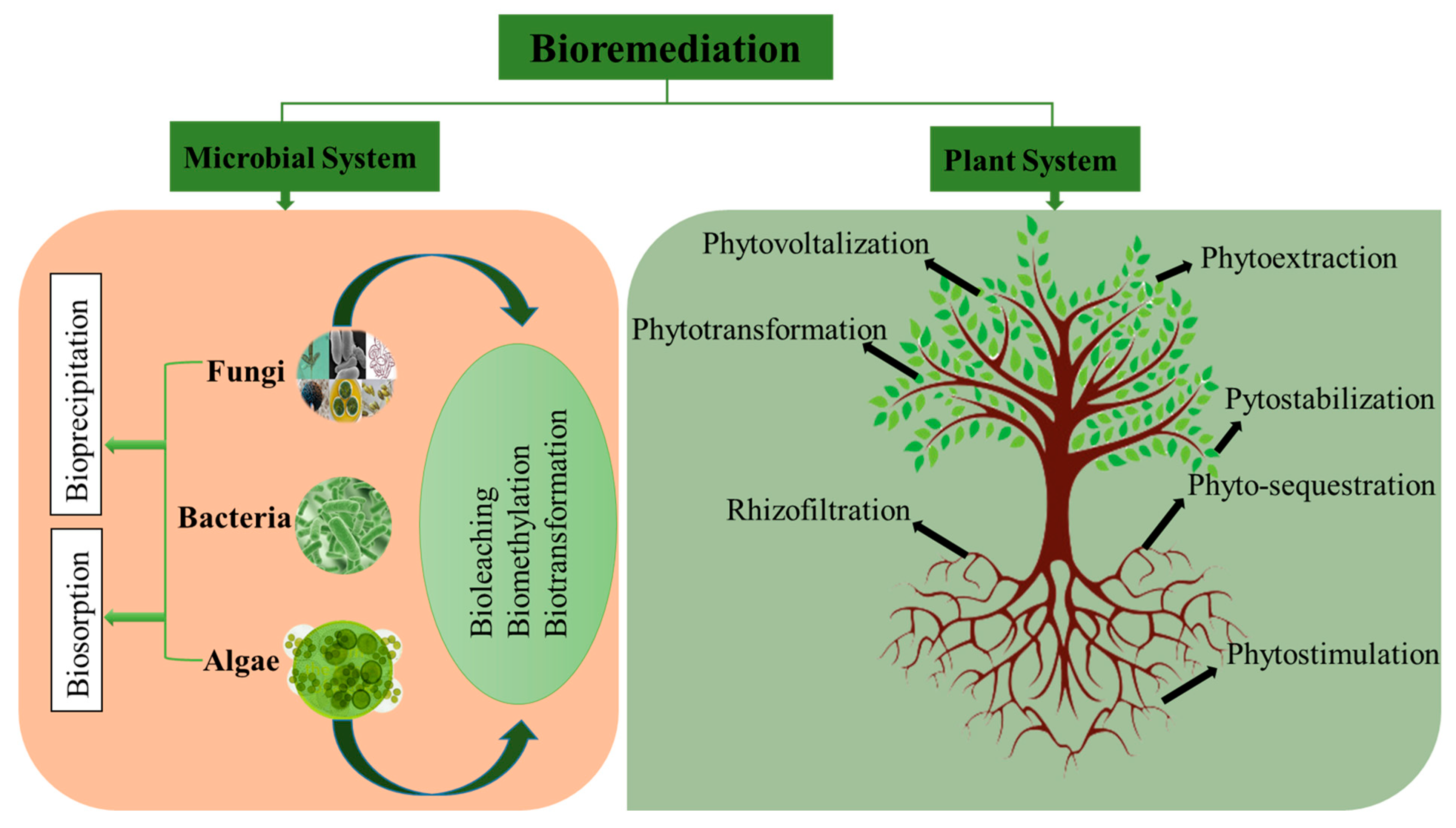 Sustainability 17 07357 g003
