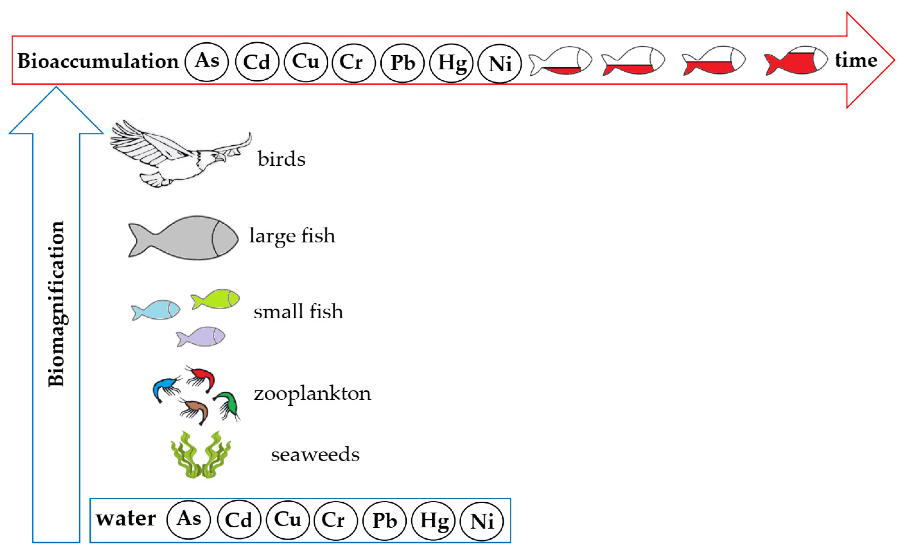 Sustainability 17 07368 g007 Sustainability 17 07368 g007
