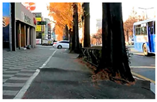 Sustainability 17 07488 i008 Sustainability 17 07488 i008