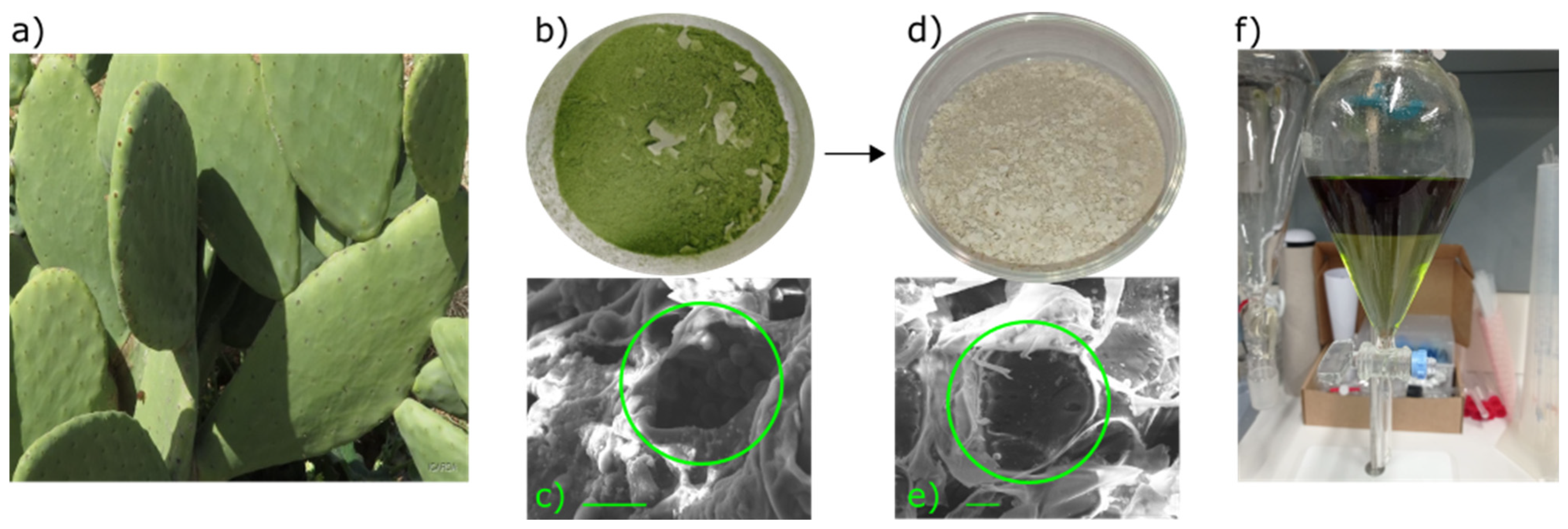 Sustainability 17 07504 g001
