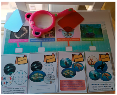 Sustainability 17 07528 i006