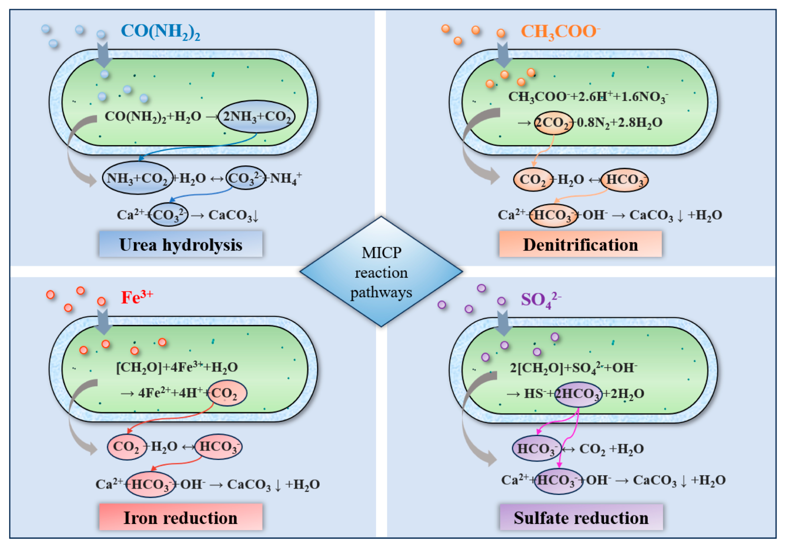 Sustainability 17 07587 g002 Sustainability 17 07587 g002