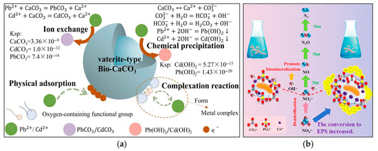 Sustainability 17 07587 g004