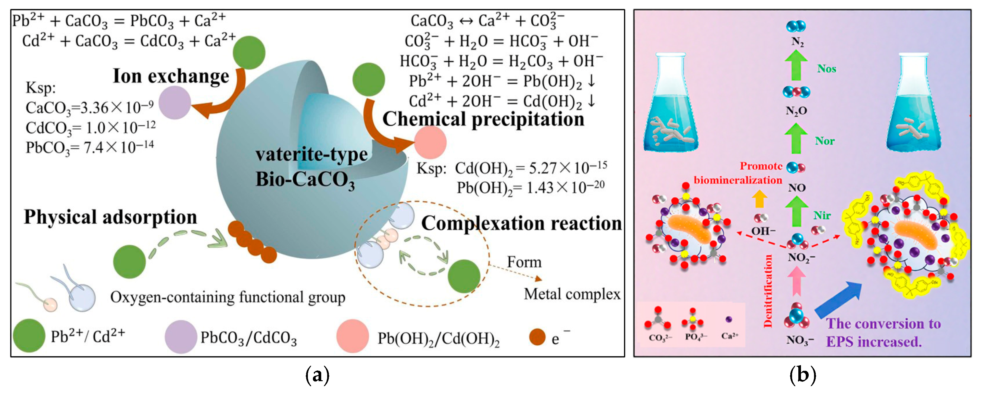 Sustainability 17 07587 g004 Sustainability 17 07587 g004