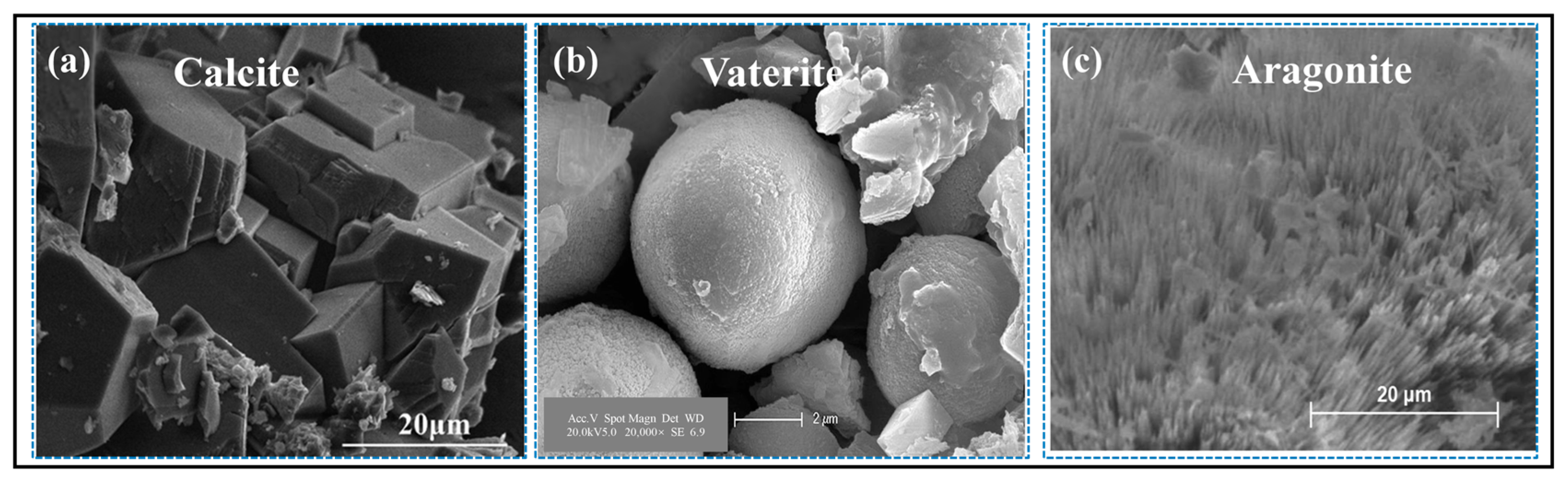Sustainability 17 07587 g009 Sustainability 17 07587 g009