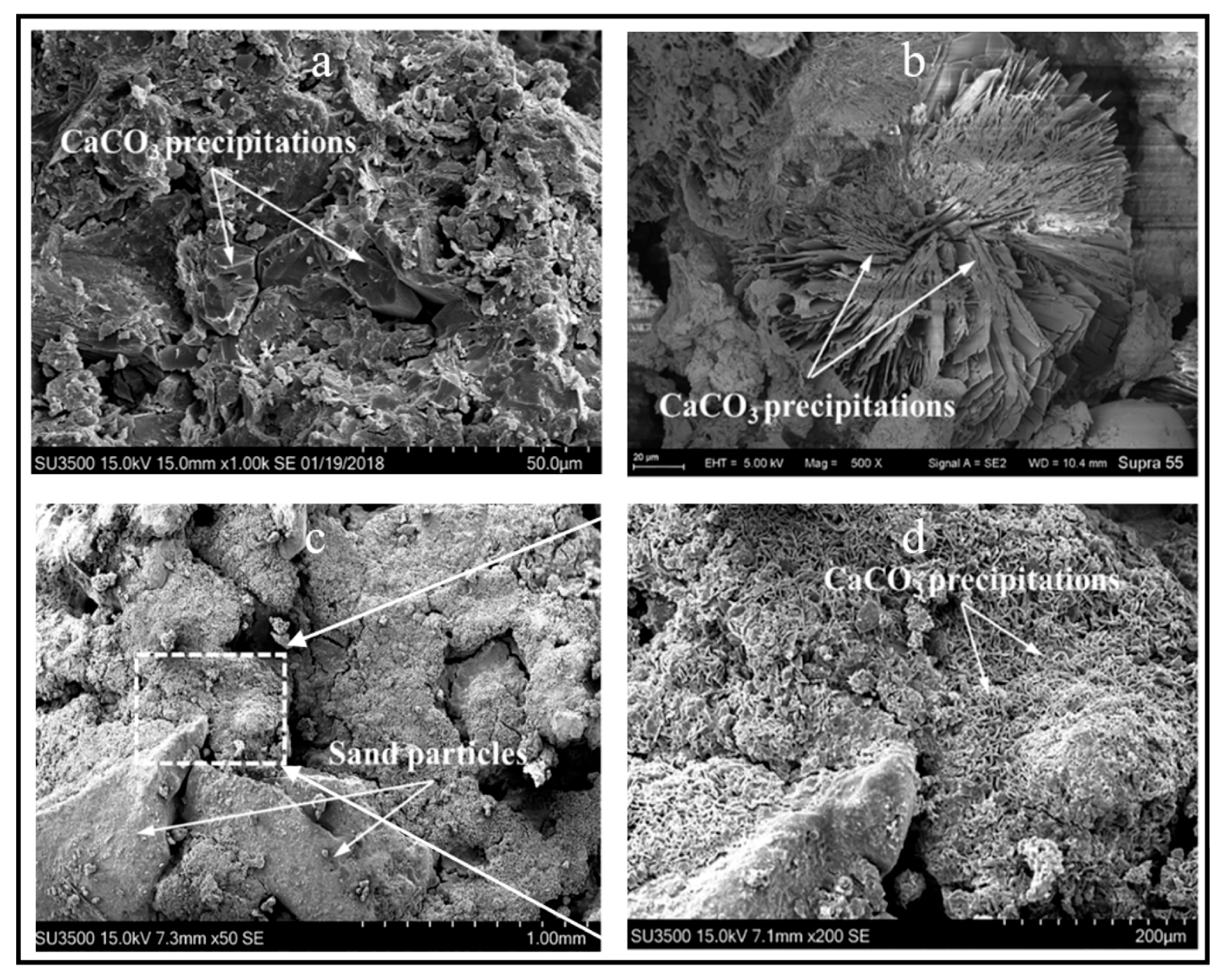 Sustainability 17 07587 g012 Sustainability 17 07587 g012