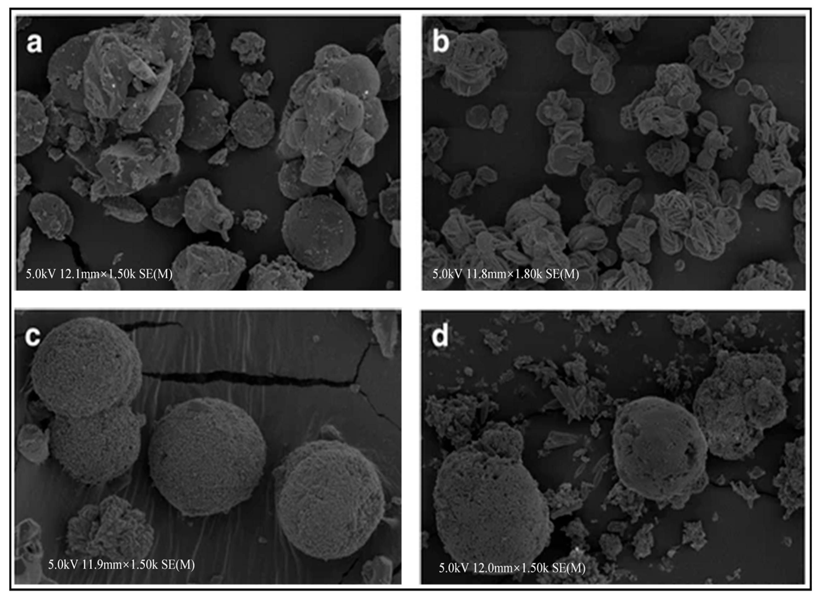 Sustainability 17 07587 g014 Sustainability 17 07587 g014