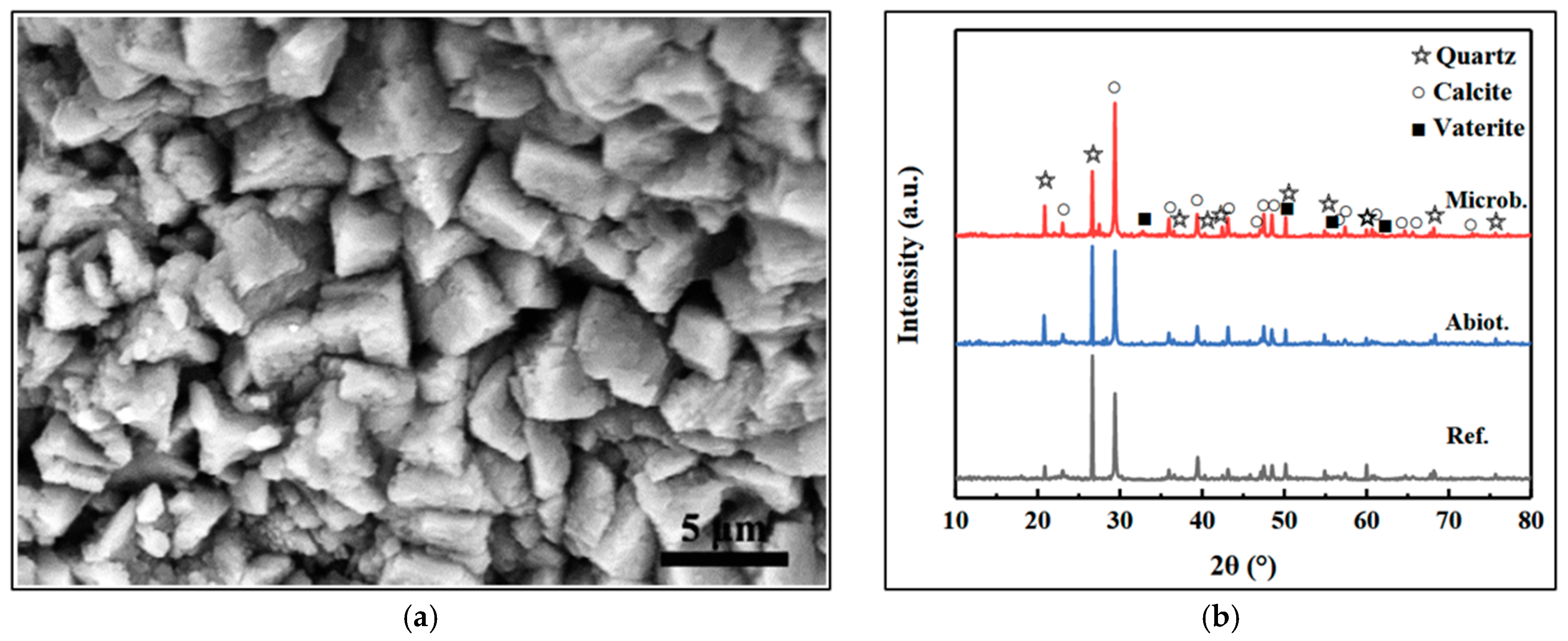 Sustainability 17 07587 g015 Sustainability 17 07587 g015
