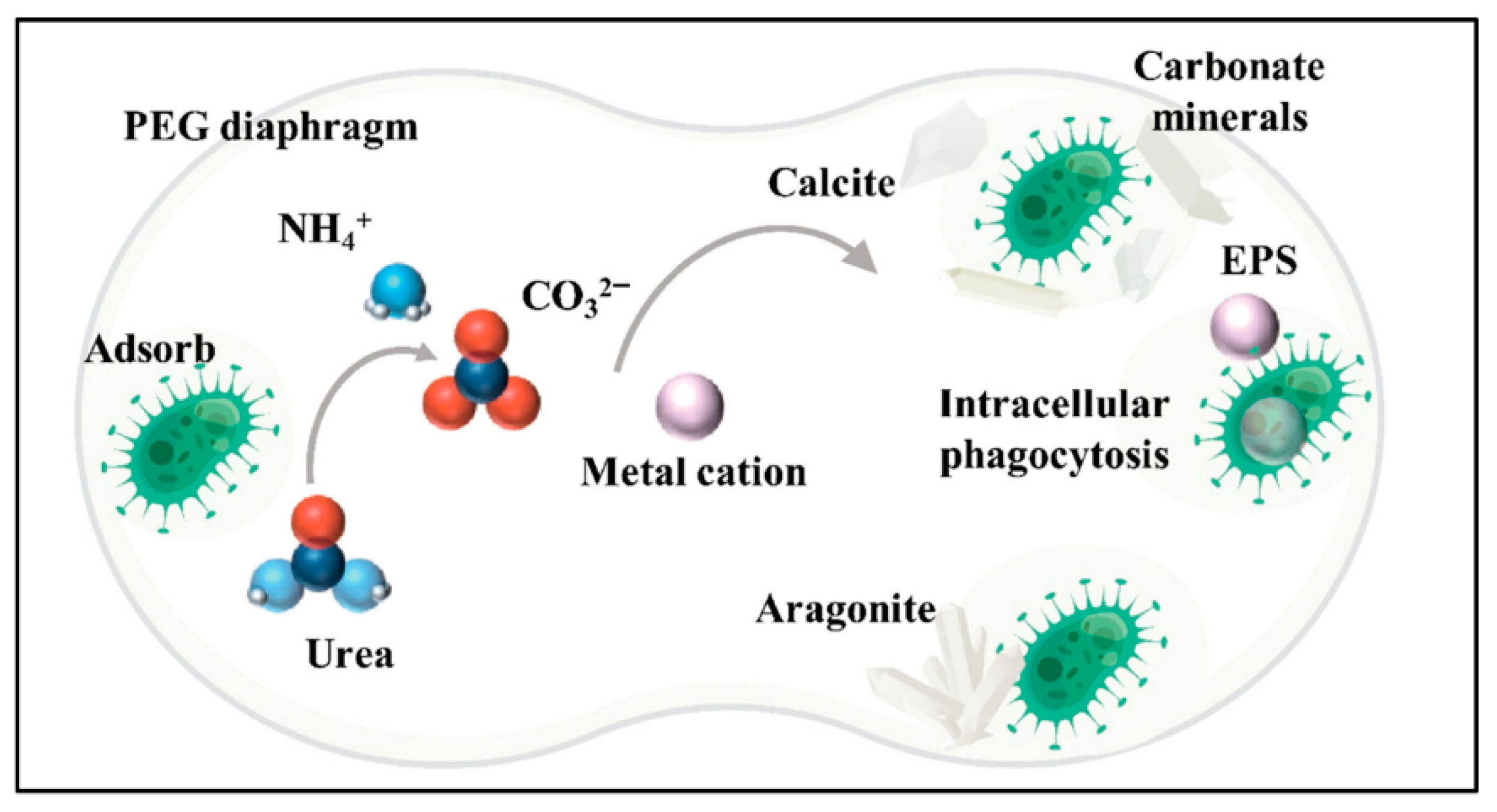 Sustainability 17 07587 g017 Sustainability 17 07587 g017