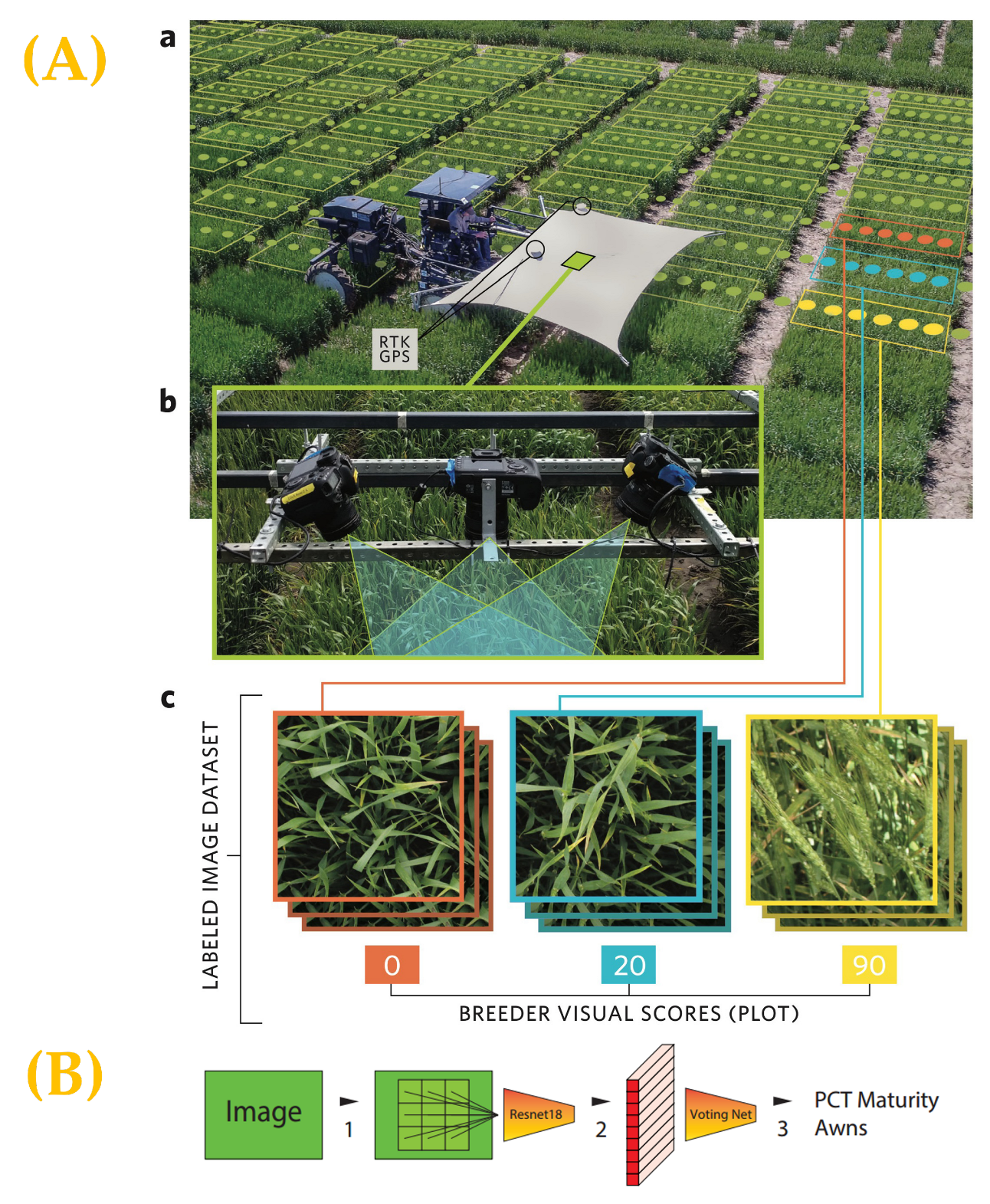 Sustainability 17 07602 g011