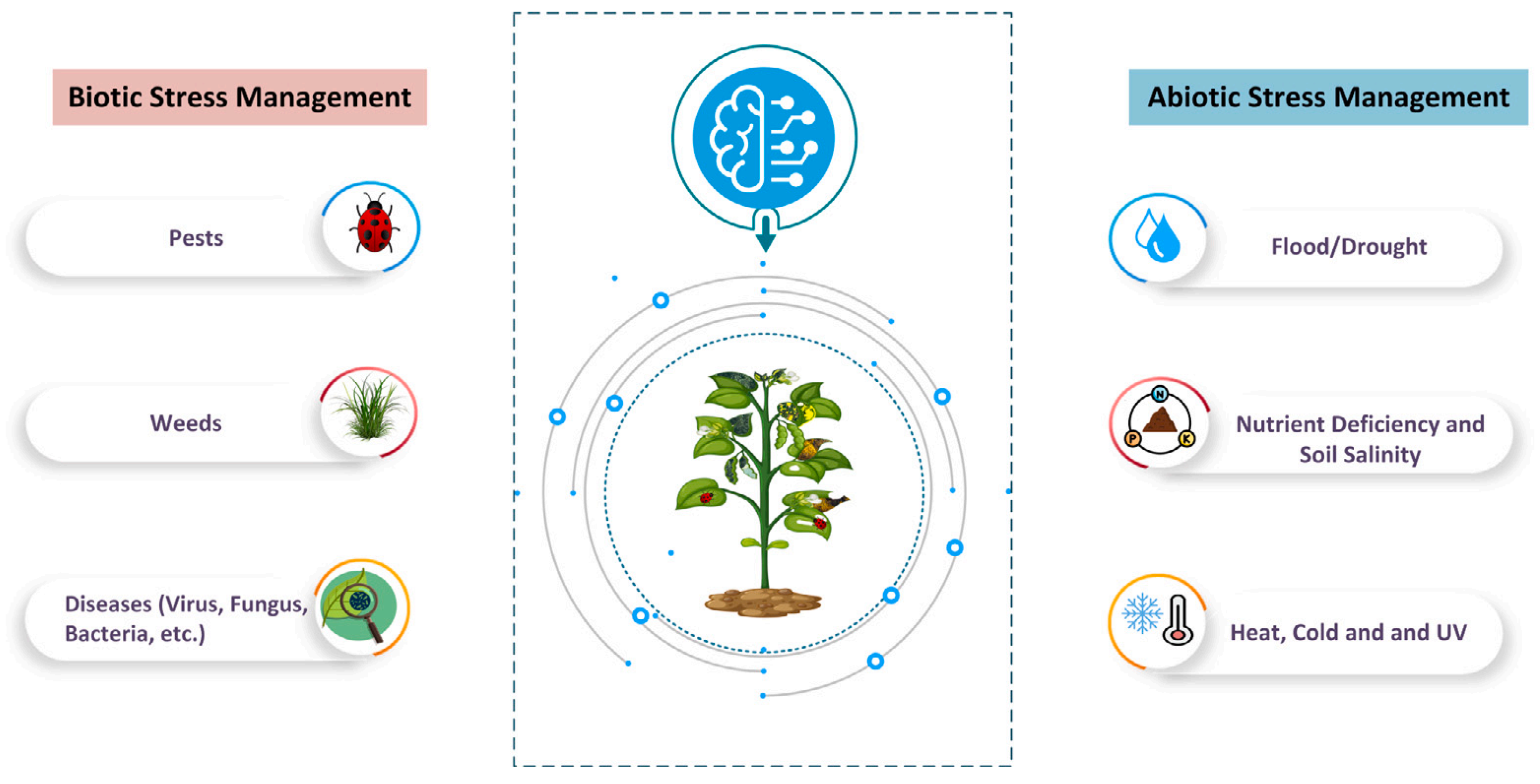 Sustainability 17 07602 g013