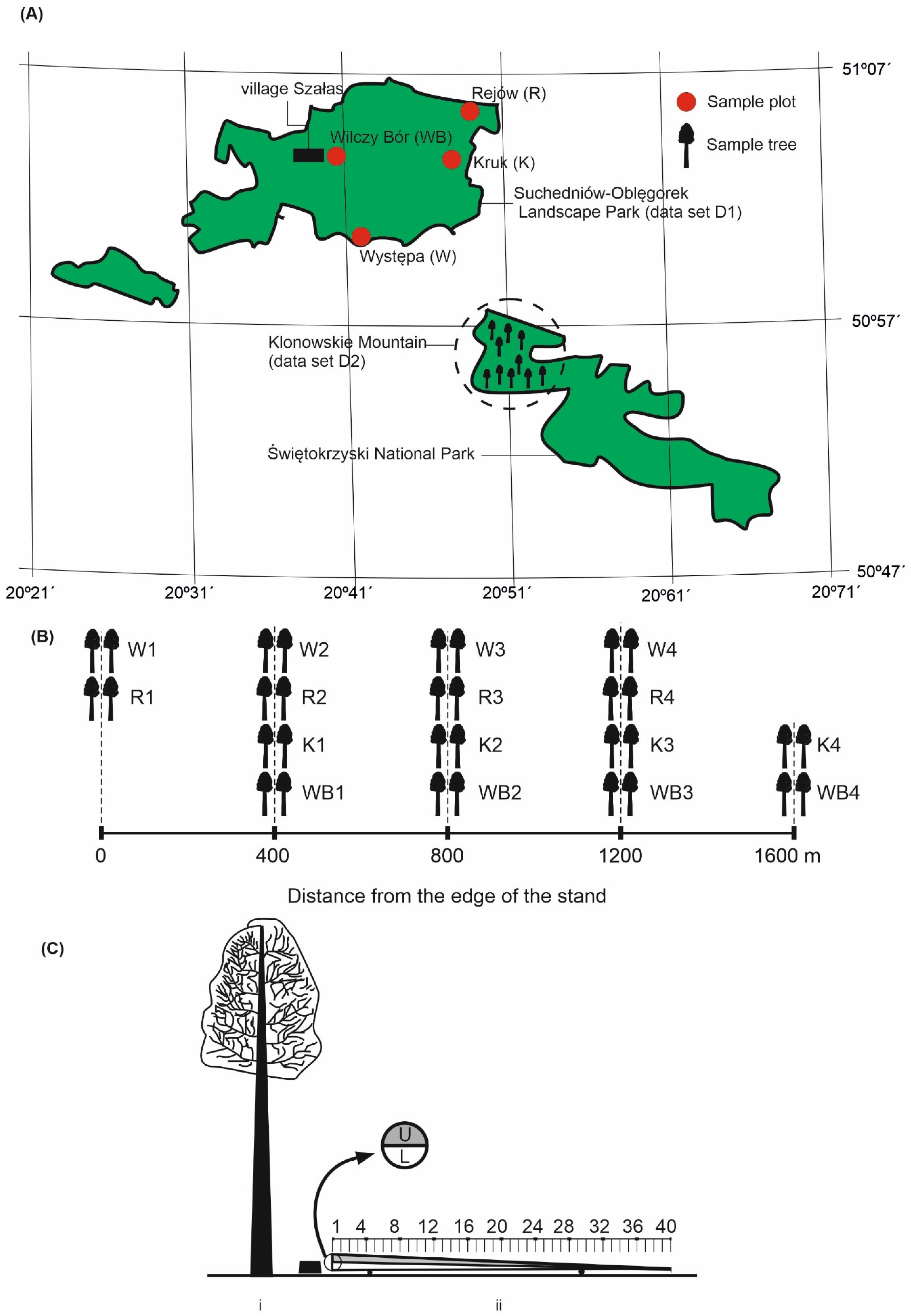 Sustainability 17 07744 g001