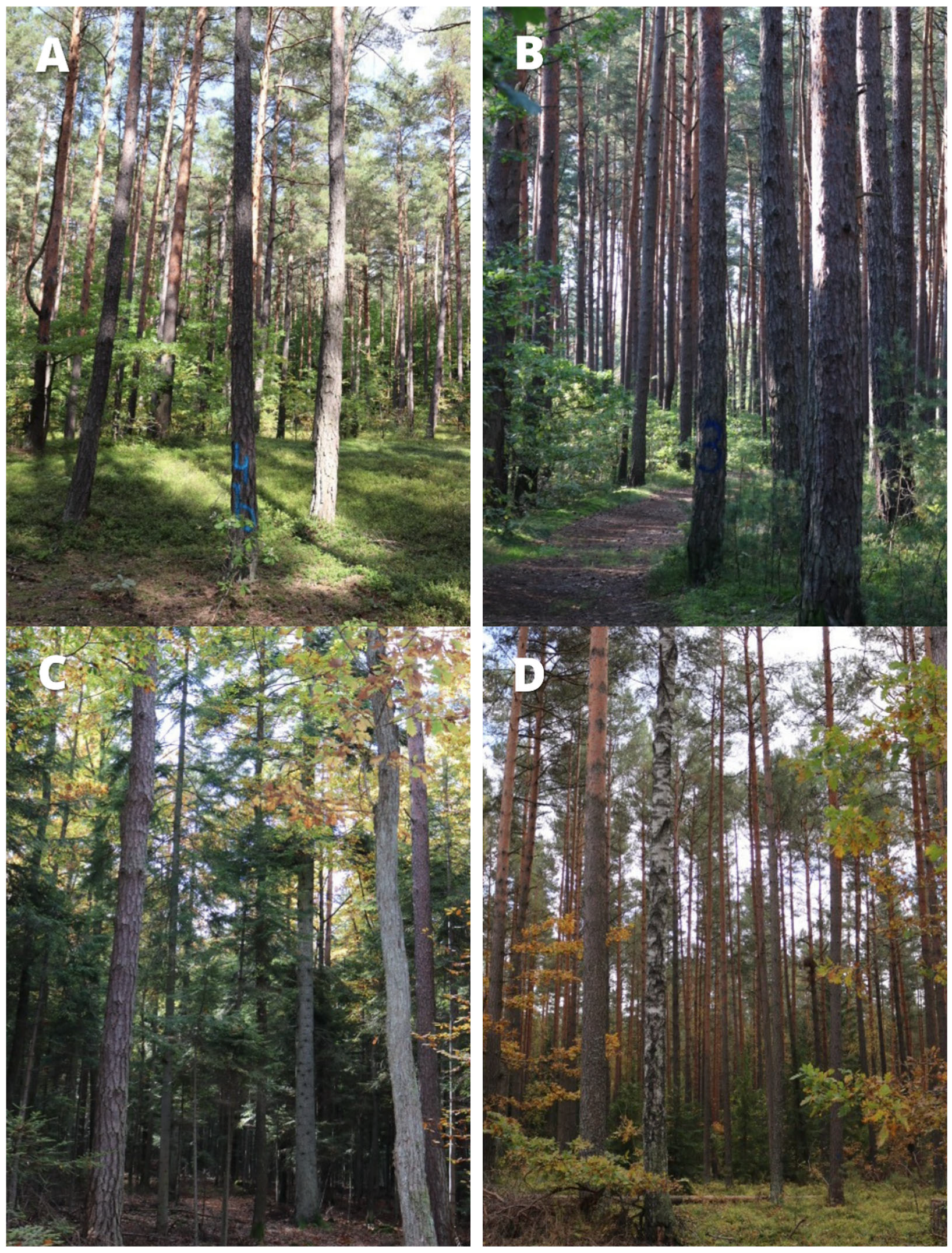 Sustainability 17 07744 g002