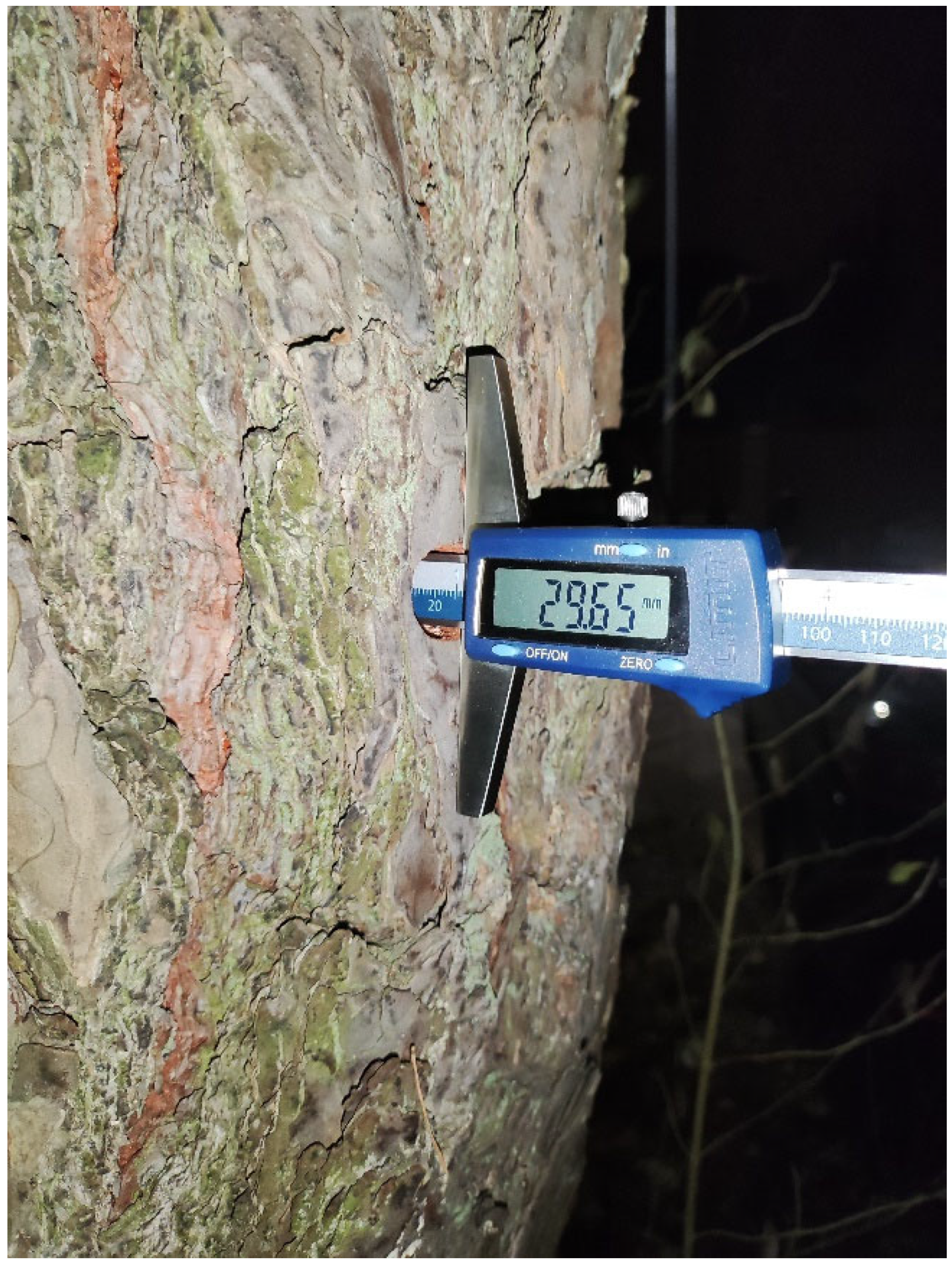 Sustainability 17 07744 g003