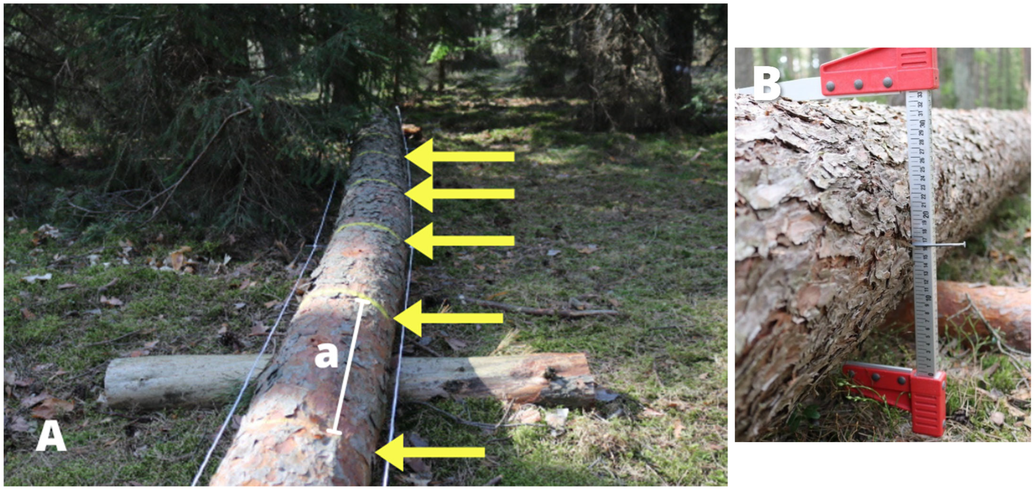 Sustainability 17 07744 g004